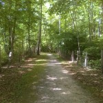 road