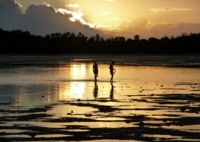 2_walking_shadows