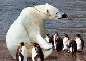 Fitting In