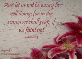 let-us-not-be-weary