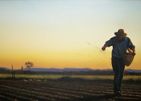 sower