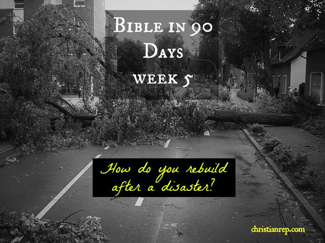 bible 90 days week 5